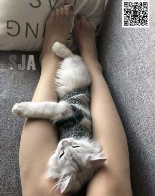 亚洲性爱操逼一区_DVDHD高清在线观看