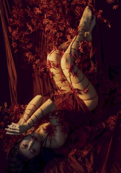 丰满的少妇AVav无码专区_BD韩语BD在线观看